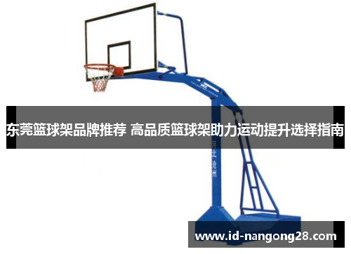 东莞篮球架品牌推荐 高品质篮球架助力运动提升选择指南