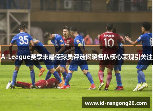 A-League赛季末最佳球员评选揭晓各队核心表现引关注
