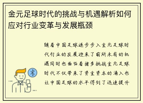 金元足球时代的挑战与机遇解析如何应对行业变革与发展瓶颈